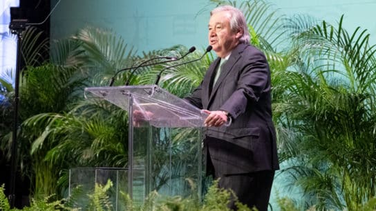 Defeating Climate Change ‘Only Possible’ If We Reverse Biodiversity Loss, UN Chief Says at COP15