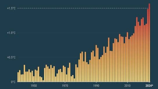 2024 ‘Effectively Certain’ to Be Hottest on Record After Second-Warmest November Globally, European Scientists Say