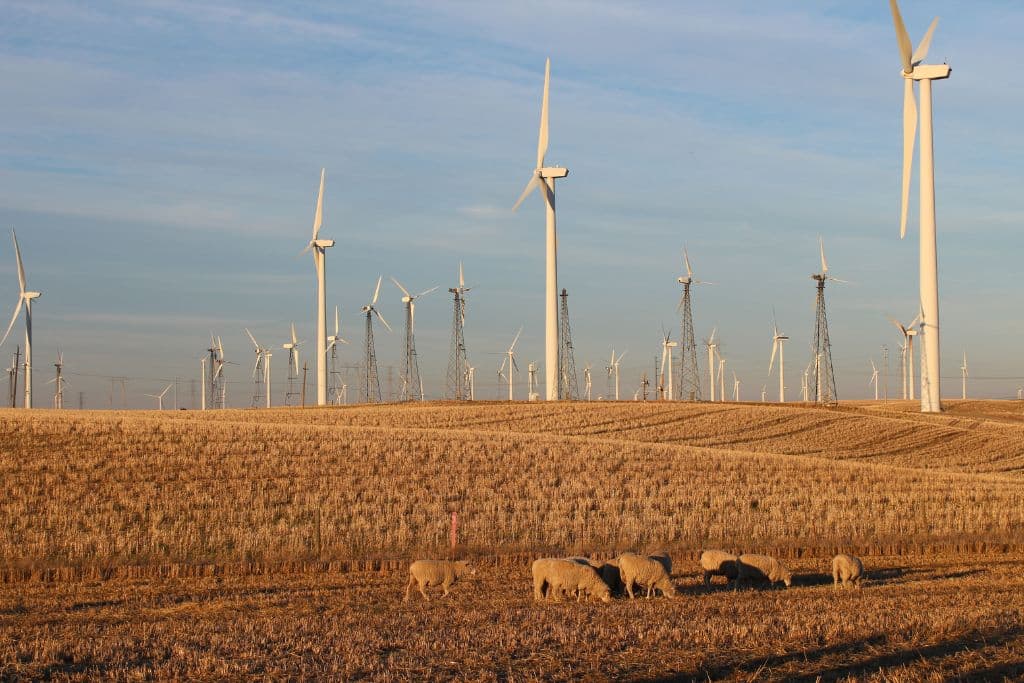 These US States Are Poised to Lead the Way on Climate During Second Trump Term