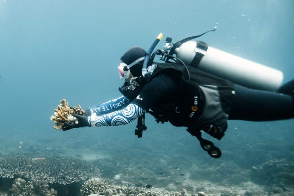 Coral Catch Superwomen