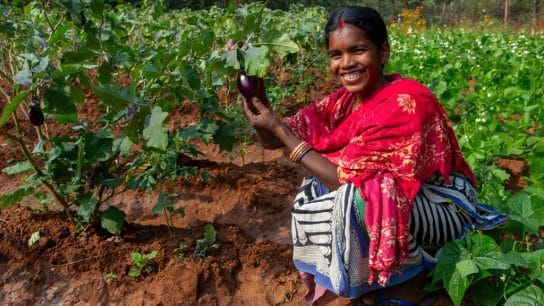 Smallholder Farmers in Asia: Challenges, Opportunities, and the Path to Sustainable Food Production