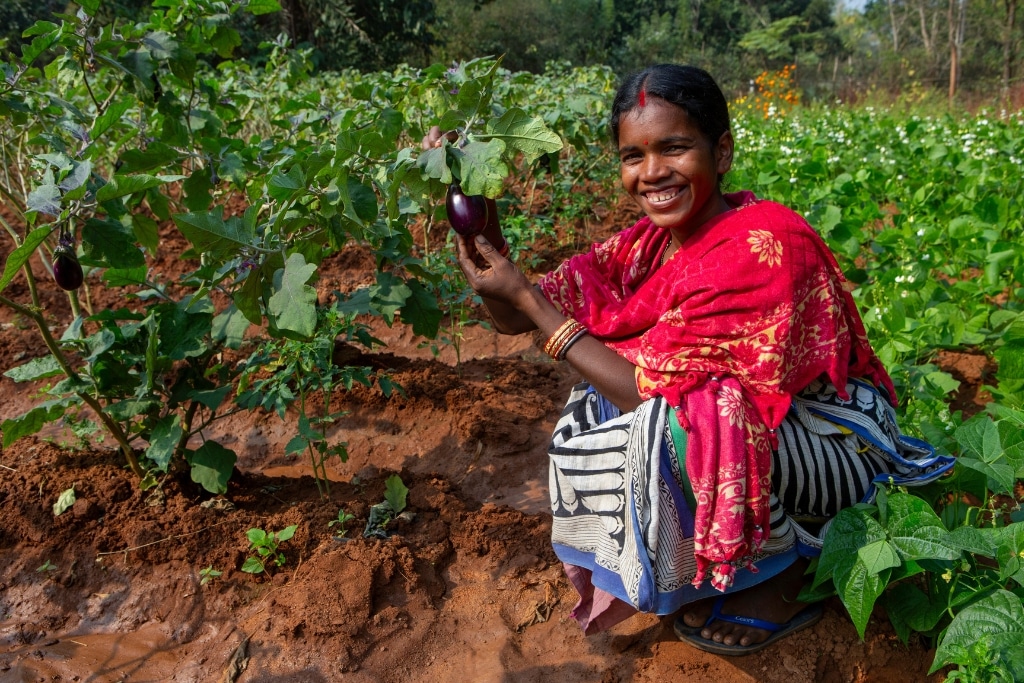 Smallholder Farmers in Asia: Challenges, Opportunities, and the Path to Sustainable Food Production