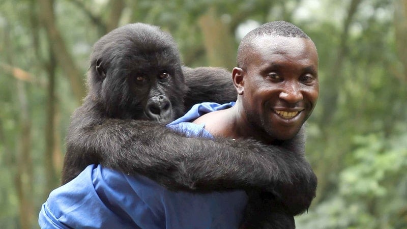 environmental films on netflix, virunga