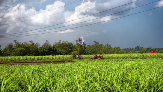 Fertiliser Use is Causing Nitrous Oxide Emissions to Rise Rapidly- Study