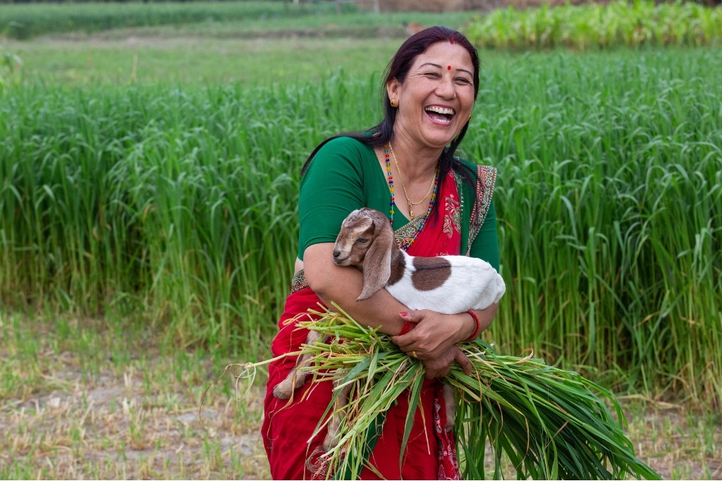 Smallholder farmer in Asia.