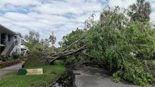 I Lived Through Hurricane Helene and Milton. Let’s Talk About Climate Change