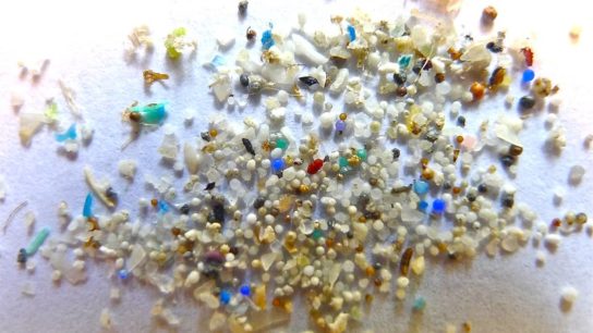 New Research Finds That Microplastic is Now Discoverable in Human Organs