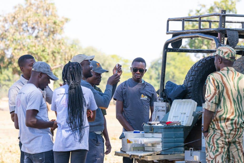 CSL and ZCP wildlife veterinarians at work