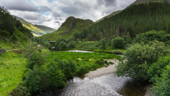 Natural Capital is Missing From Climate Policy- Study