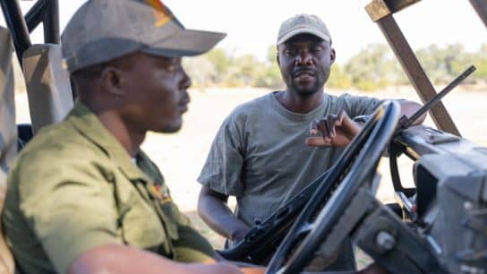 In Pictures – The Life of a Wildlife Veterinarian: An Interview With Mwamba Sichande