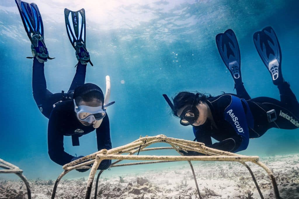 Coral Catch Superwomen