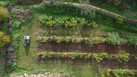 Meet the Team on a Mission to Promote Regenerative Agriculture and Community-Building in Portugal