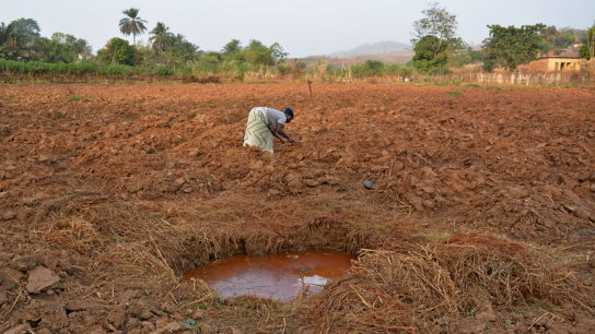 Top Court in West Africa Finds Guinea Officials Guilty in Mine Conflict