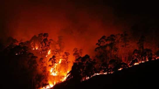 Drought-Stricken Brazil Sees 80% Yearly Rise in Wildfires in 2024 As Toxic Smoke Spreads Across the Country