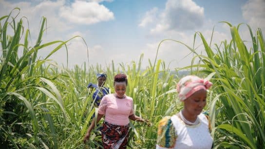 Bridging the Gap: How the PARKS Project in Uganda Empowers Local Communities While Protecting Biodiversity