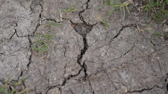 Taiwan is Experiencing its Worst Drought in Nearly 60 Years