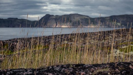 Court Ends Donald Trump’s Attempt to Allow Drilling in Atlantic and Arctic Oceans