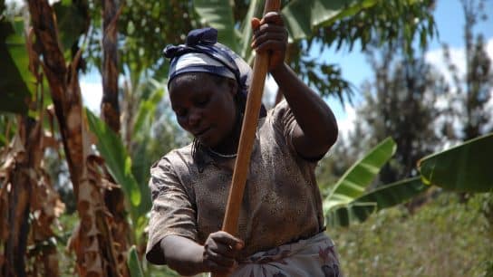 I’m a Farmer. Listen to Me When We Say We Need Climate Finance