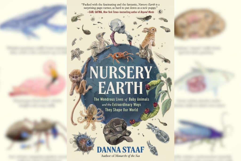 Review: ‘Nursery Earth’ By Danna Staaf