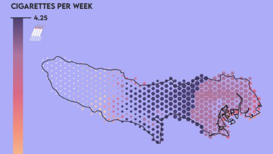 Air Pollution Mapping in Tokyo