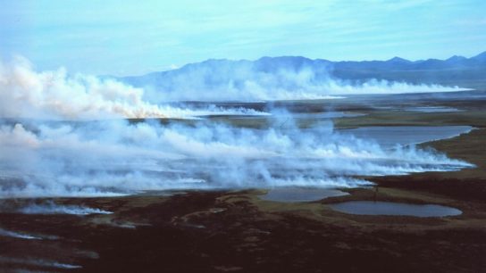 This Year’s Arctic Wildfires Have Set A Pollution Record