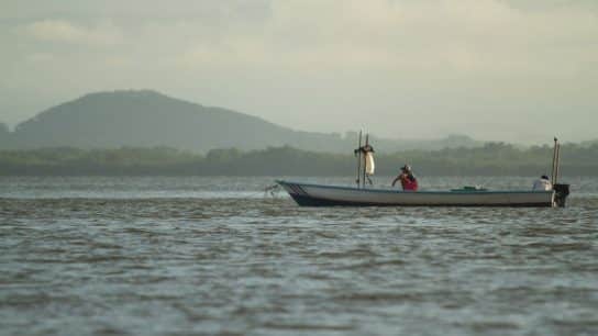 The Role of NGOs in Coastal Communities: A Latin American Perspective