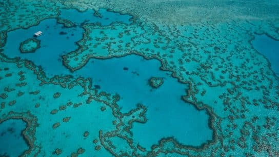 Highest Ocean Warming in 400 Years Poses ‘Existential Threat’ to Australia’s Great Barrier Reef, Researchers Say