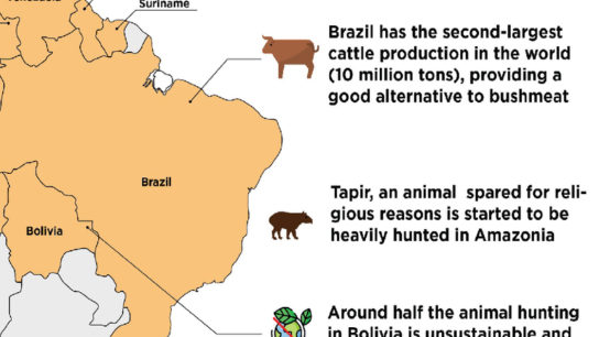 Bushmeat Hunting in South America