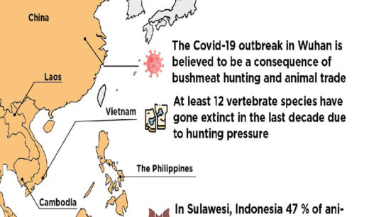 Bushmeat Consumption in Asia