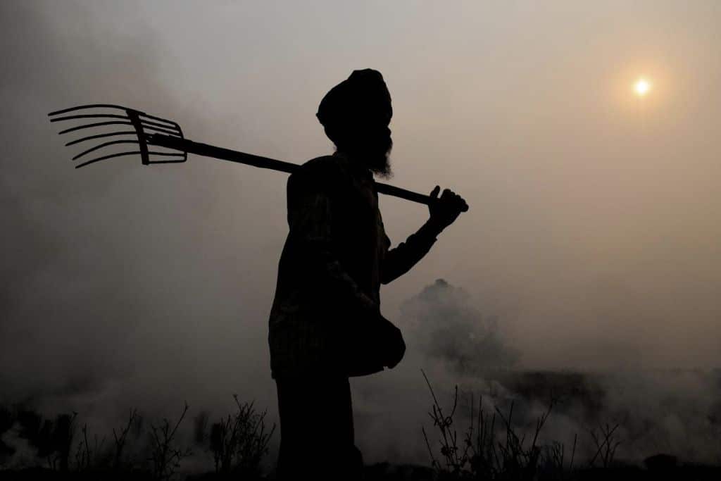 Farmer during crop residue burning in Punjab India.