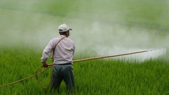 The Environmental and Health Impacts of Pesticides