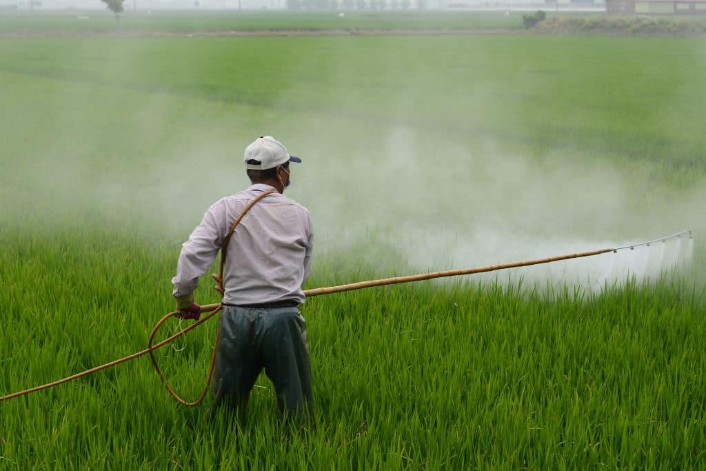 The Environmental and Health Impacts of Pesticides