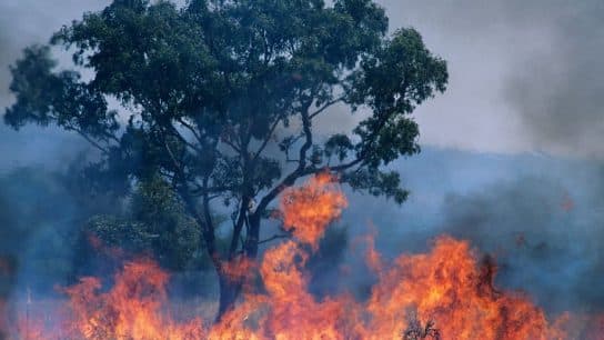 Australia’s Southeast Braces for Extreme Fire Risk Amid Intense Heatwave