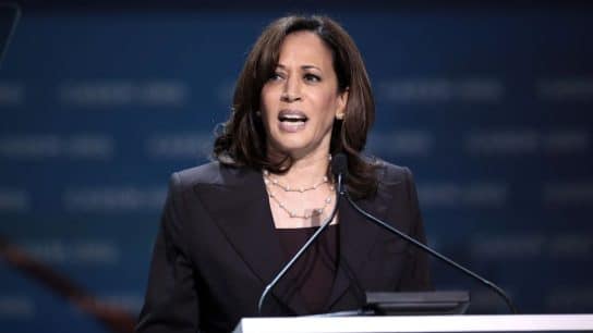 Environmental Groups Defend Kamala Harris Amid Silence on Climate Crisis at DNC