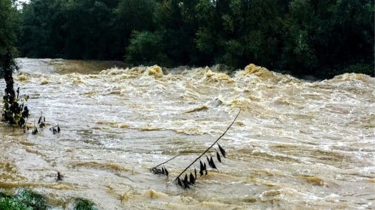 Storm Boris: Record-Breaking Rainfall Floods Central Europe After Continent’s Hottest Summer on Record