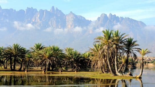 Socotra Island: The Indian Ocean’s Biodiversity Treasure