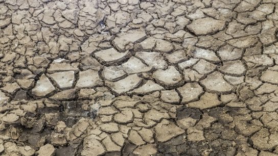 Up to 500,000 Indigenous People Could Be Affected by Historic Amazon River Drought, Local Authorities Warn