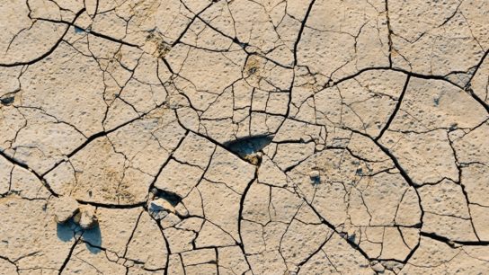 Amazon River Levels Hit Historic Low Amid Rapidly Worsening Brazil Drought