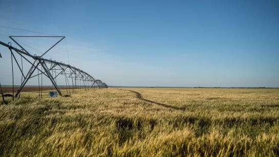 11 Ways Farmers Are Adapting to the Unpredictability of Climate Change