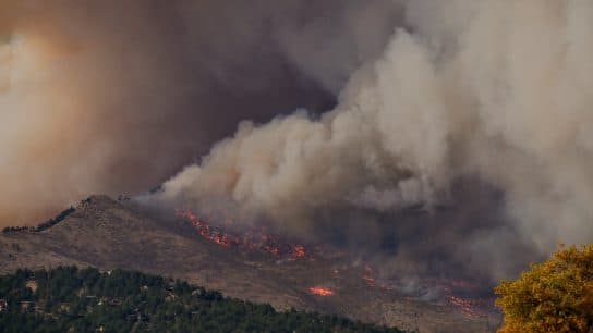 Hundreds of Firefighters Battle Deadly Wildfire in Greece’s Evros, Europe’s Largest Single Fire in History