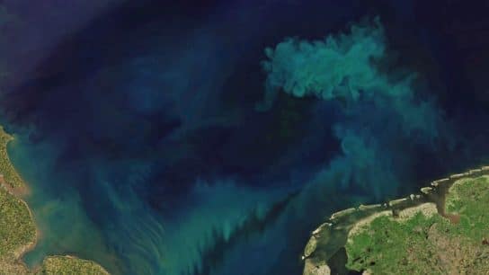 Green Seas: Unravelling Climate Change’s Impact on the Ocean Colour