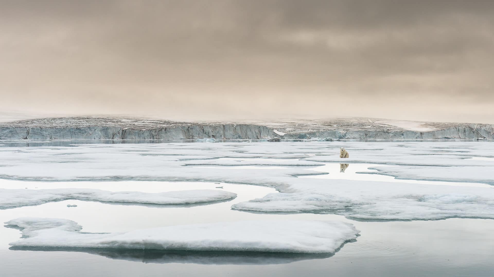 global temperature increase, Roy Mangersnes, biggest environmental problems