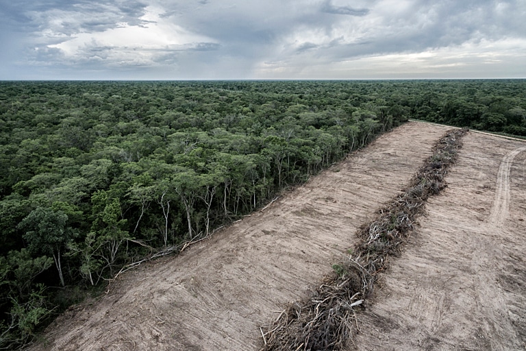 An aerial view of a deforested zone in "Ñembi Guasu" conservation area in Bolivia