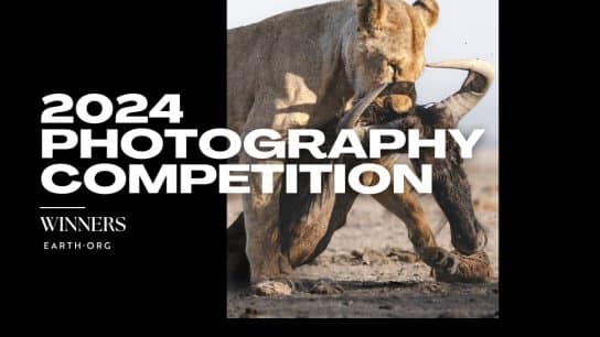 ANNOUNCEMENT: See the Winners of the 2024 Earth.Org Climate Crisis Photography Competition!