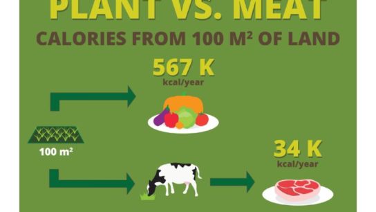 Story by Numbers: Future Food Security