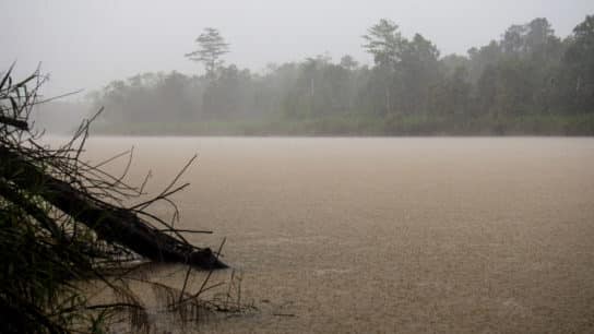 Frequency of Australia Bushfires and Extreme Weather Events Set To Increase As Climate Crisis Worsens, Report Warns