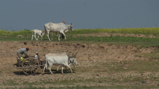 More Than 3 Billion People Are Affected by Water Shortages- Report