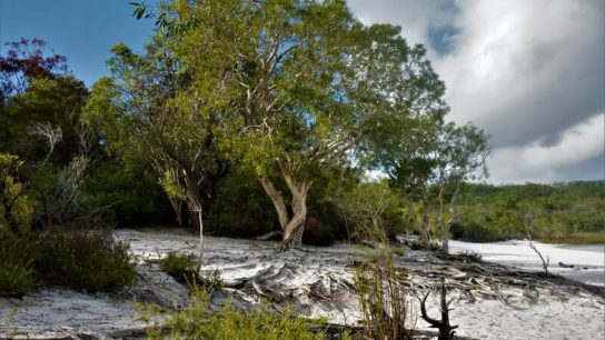 This Year’s Bushfire Season in Australia Has Arrived Early, as Fraser Island Burns