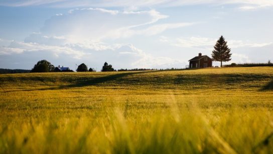 Nearly Two-Thirds of World’s Farmland at Risk From Pesticide Pollution, Prompting Fears of Food Insecurity