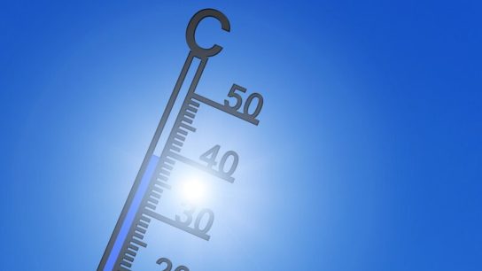 Global Climate Forecast for 2021- Slightly Cooler than 2020